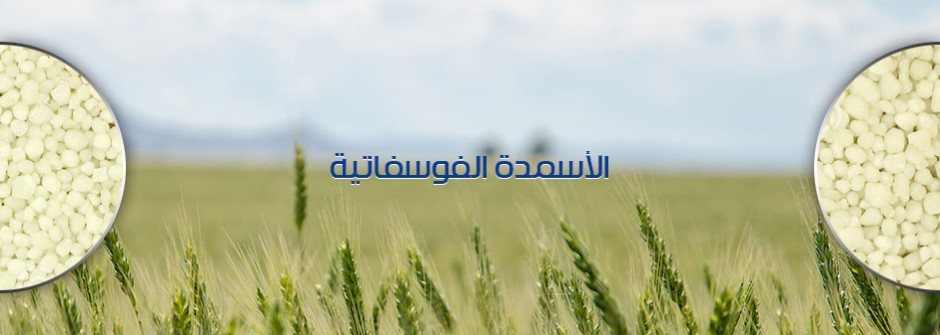 الاسمدة الفوسفاتية
